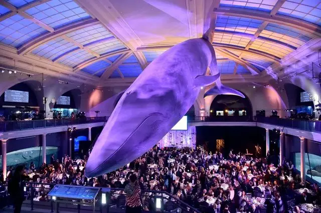 The museum's gala space in the Milstein Hall of Ocean Life